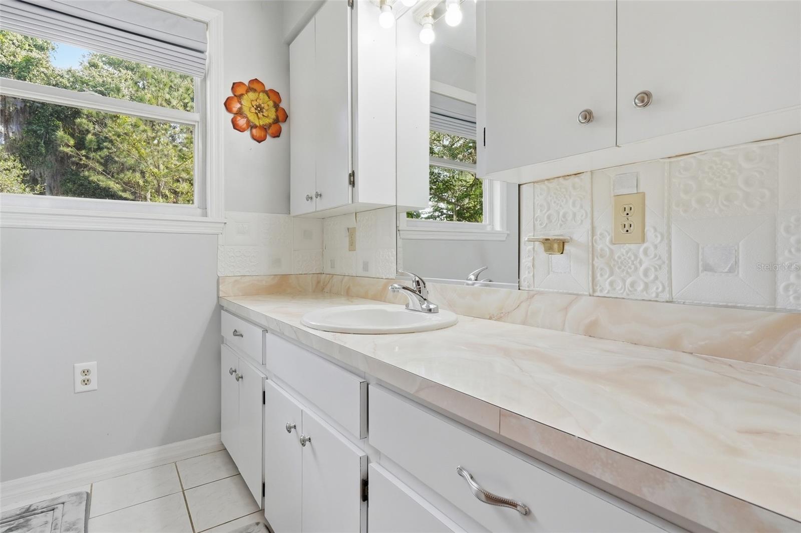 1289 CR 436, LAKE PANASOFFKEE, FL, 33538