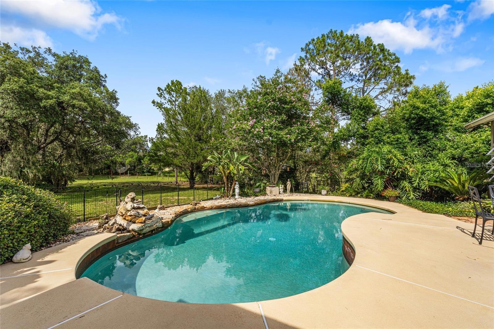 17877 PHIL C PETERS RD, WINTER GARDEN, FL, 34787