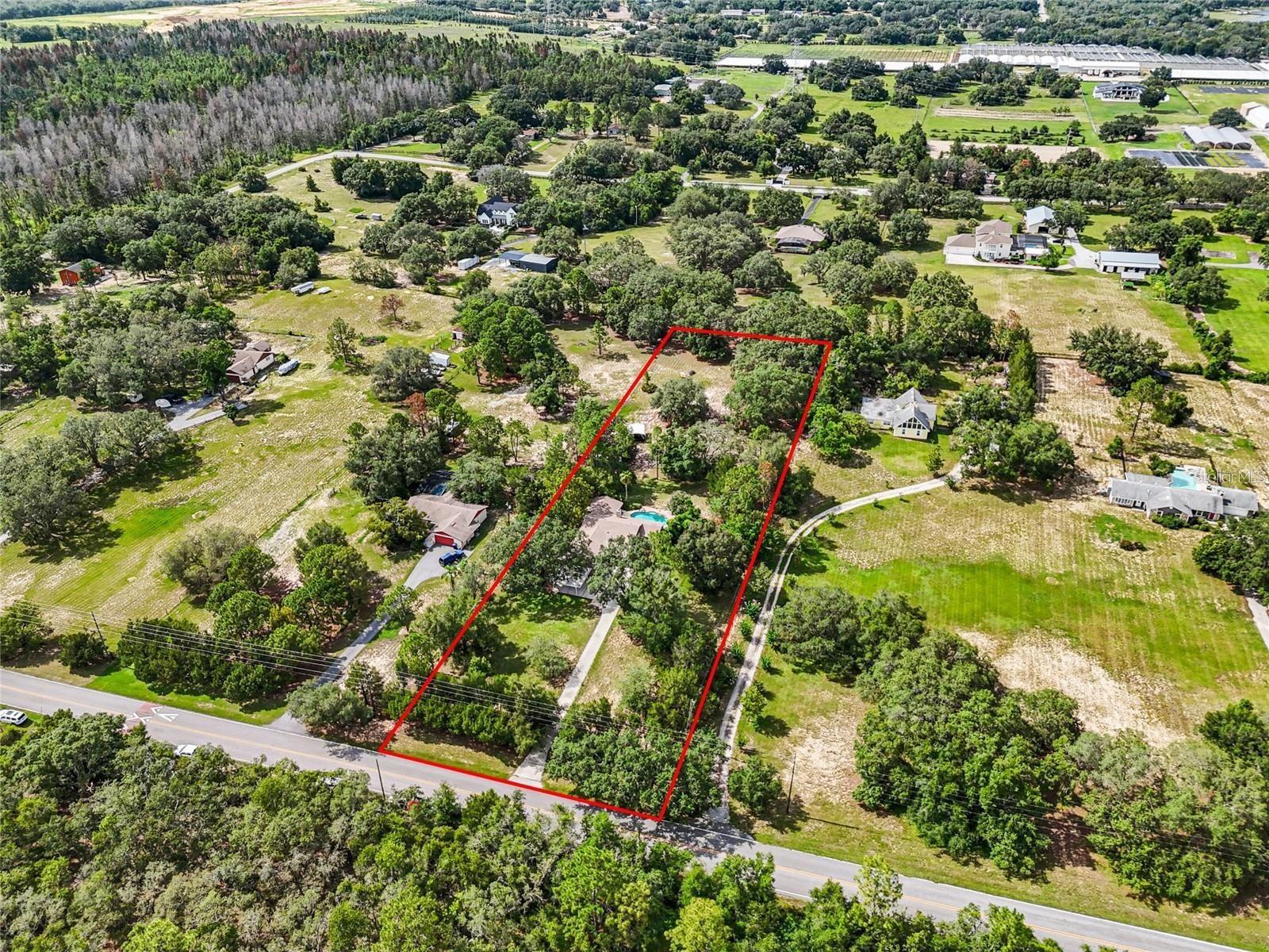 17877 PHIL C PETERS RD, WINTER GARDEN, FL, 34787