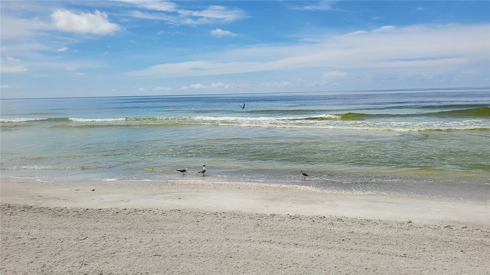 1000 LONGBOAT CLUB RD #406, LONGBOAT KEY, FL, 34228