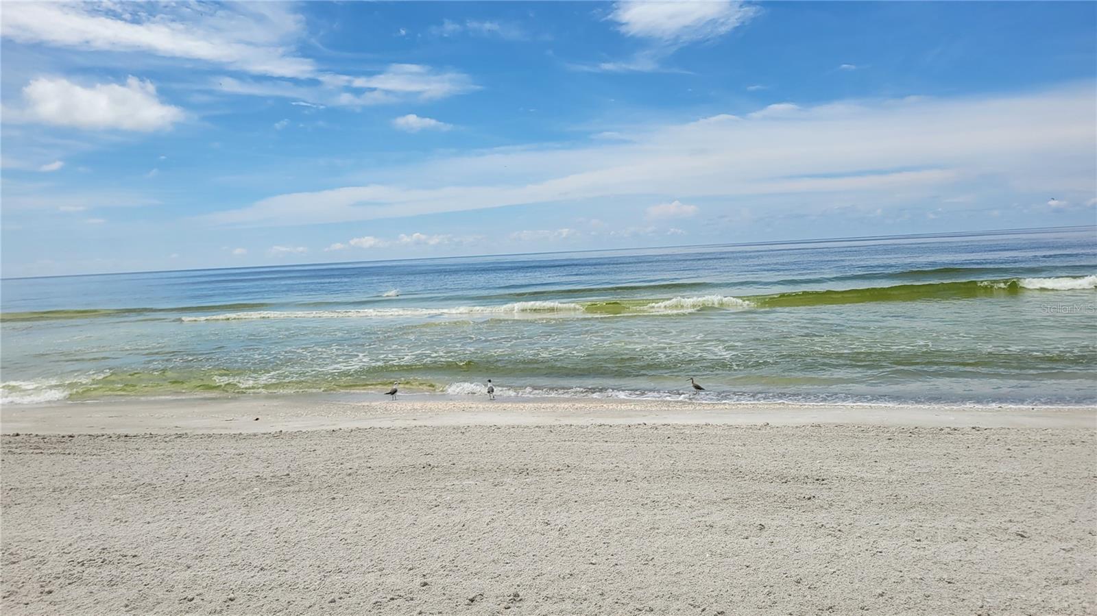 1000 LONGBOAT CLUB RD #406, LONGBOAT KEY, FL, 34228