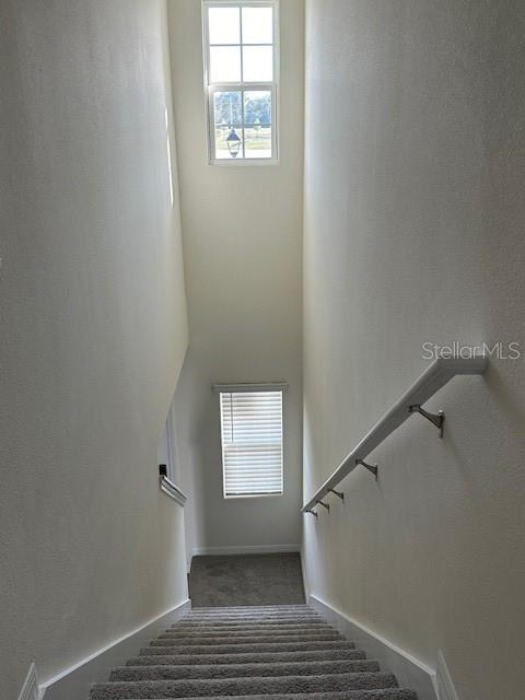 2807 BRIE HAMMOCK BND, HARMONY, FL, 34773