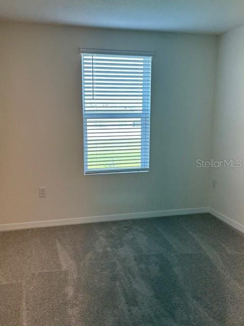 2807 BRIE HAMMOCK BND, HARMONY, FL, 34773