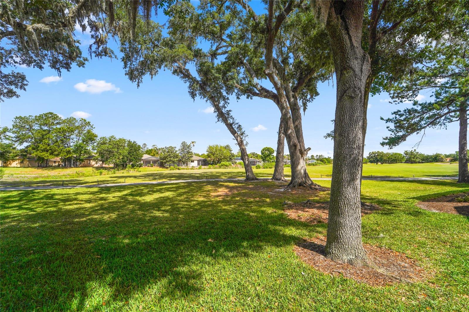 4413 CALIQUEN DR, BROOKSVILLE, FL, 34604