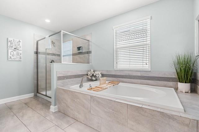 8909 STINGER DR, CHAMPIONS GATE, FL, 33896