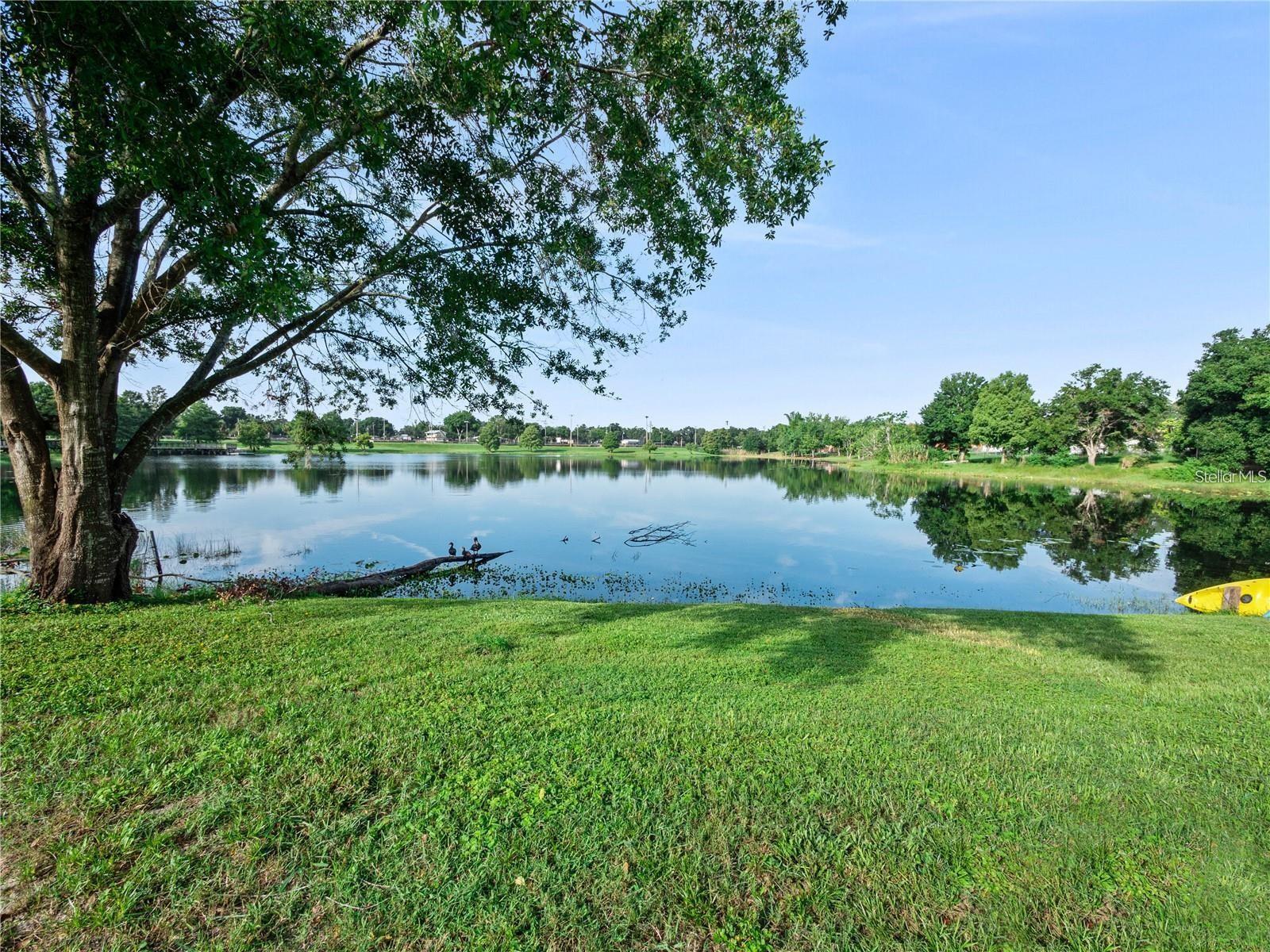 417 LITTLE SPRING HILL DR, OCOEE, FL, 34761