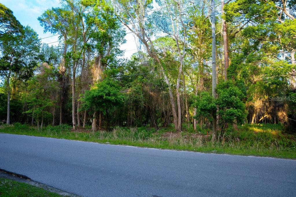 172 WHISPERING PINES RD, GEORGETOWN, FL, 32139