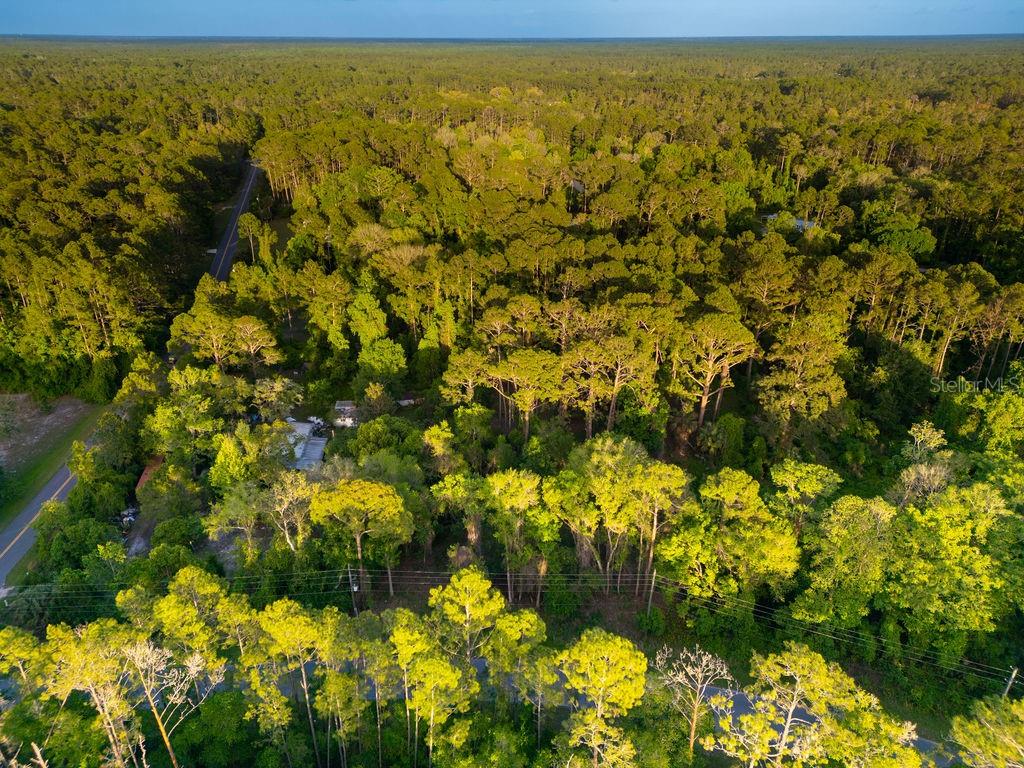 172 WHISPERING PINES RD, GEORGETOWN, FL, 32139