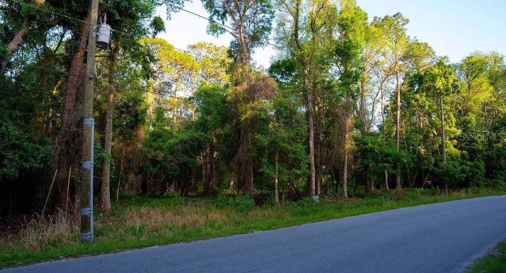 172 WHISPERING PINES RD, GEORGETOWN, FL, 32139