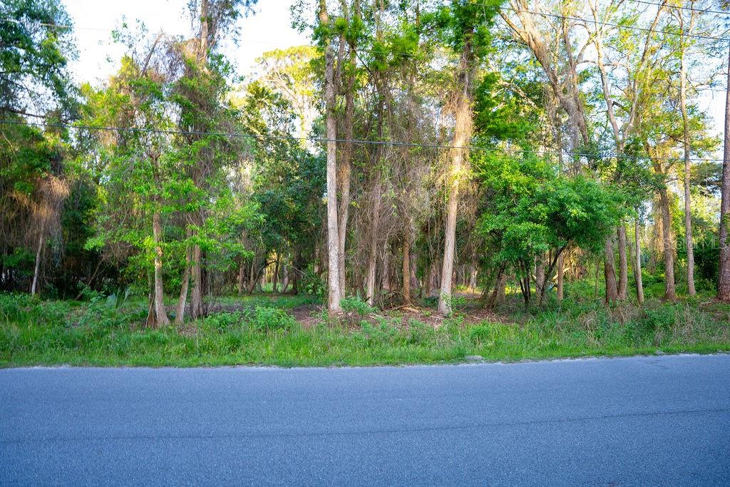 172 WHISPERING PINES RD, GEORGETOWN, FL, 32139