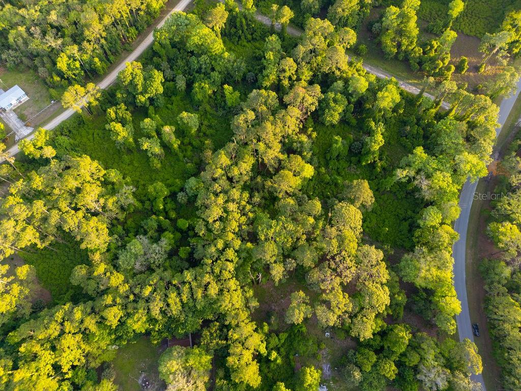 172 WHISPERING PINES RD, GEORGETOWN, FL, 32139