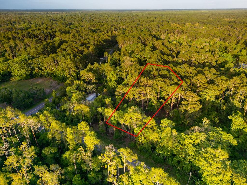 172 WHISPERING PINES RD, GEORGETOWN, FL, 32139
