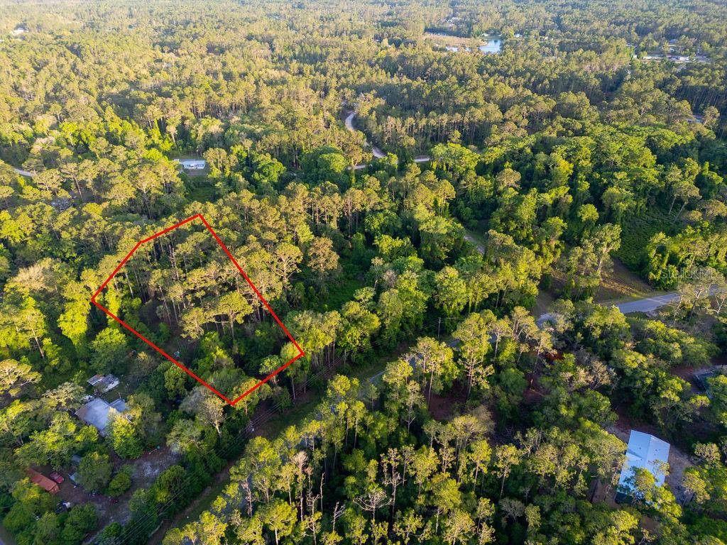 172 WHISPERING PINES RD, GEORGETOWN, FL, 32139