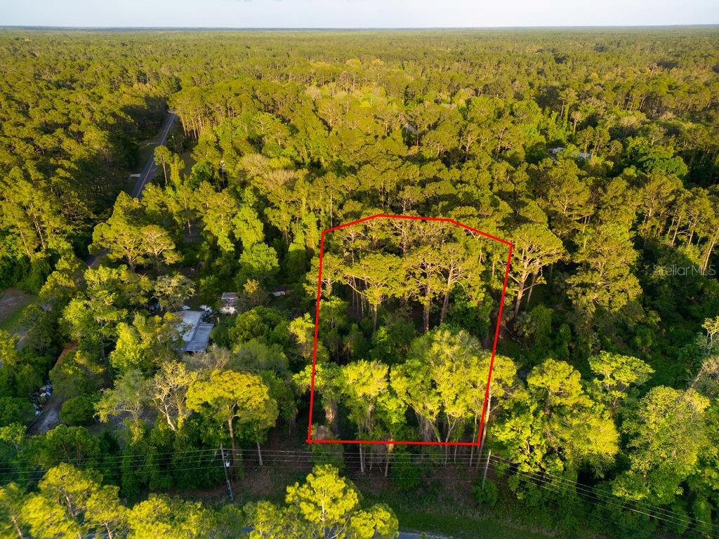 172 WHISPERING PINES RD, GEORGETOWN, FL, 32139