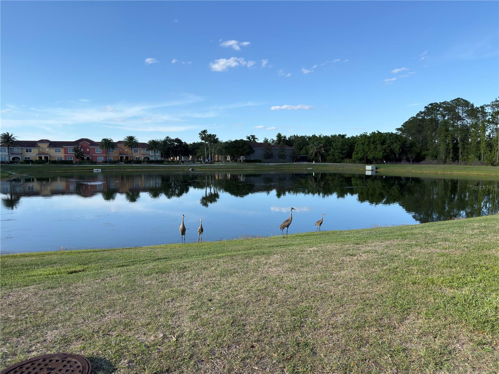 2997 BUCCANEER PALM RD, KISSIMMEE, FL, 34747