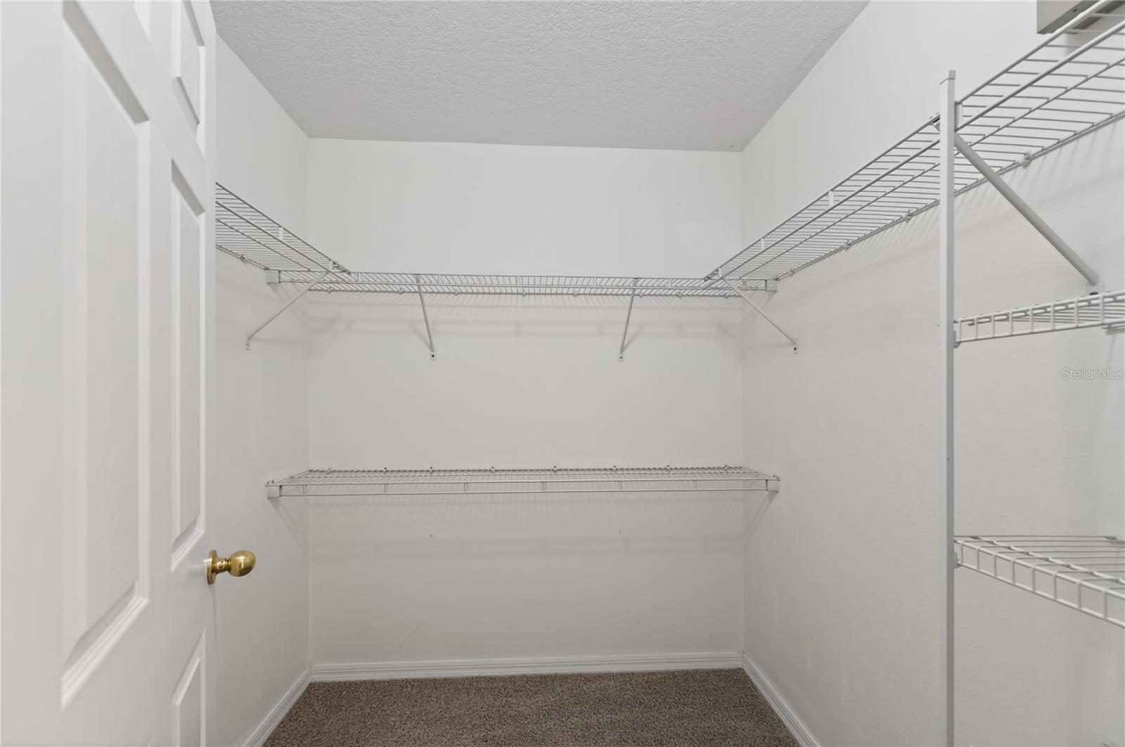 15536 MERLIN AVE, MASCOTTE, FL, 34753