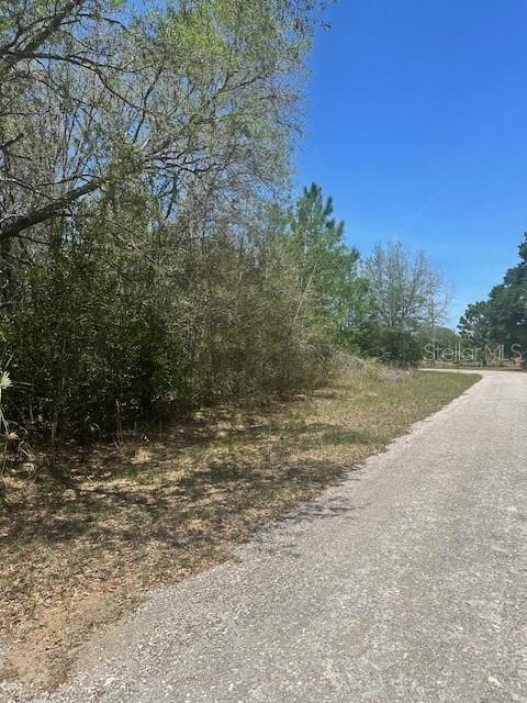 8681 N CATAPANE LOOP, CRYSTAL RIVER, FL, 34428