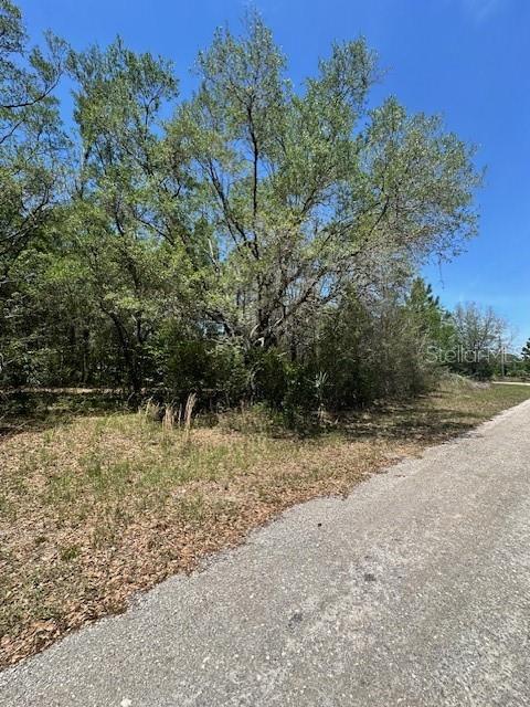 8681 N CATAPANE LOOP, CRYSTAL RIVER, FL, 34428