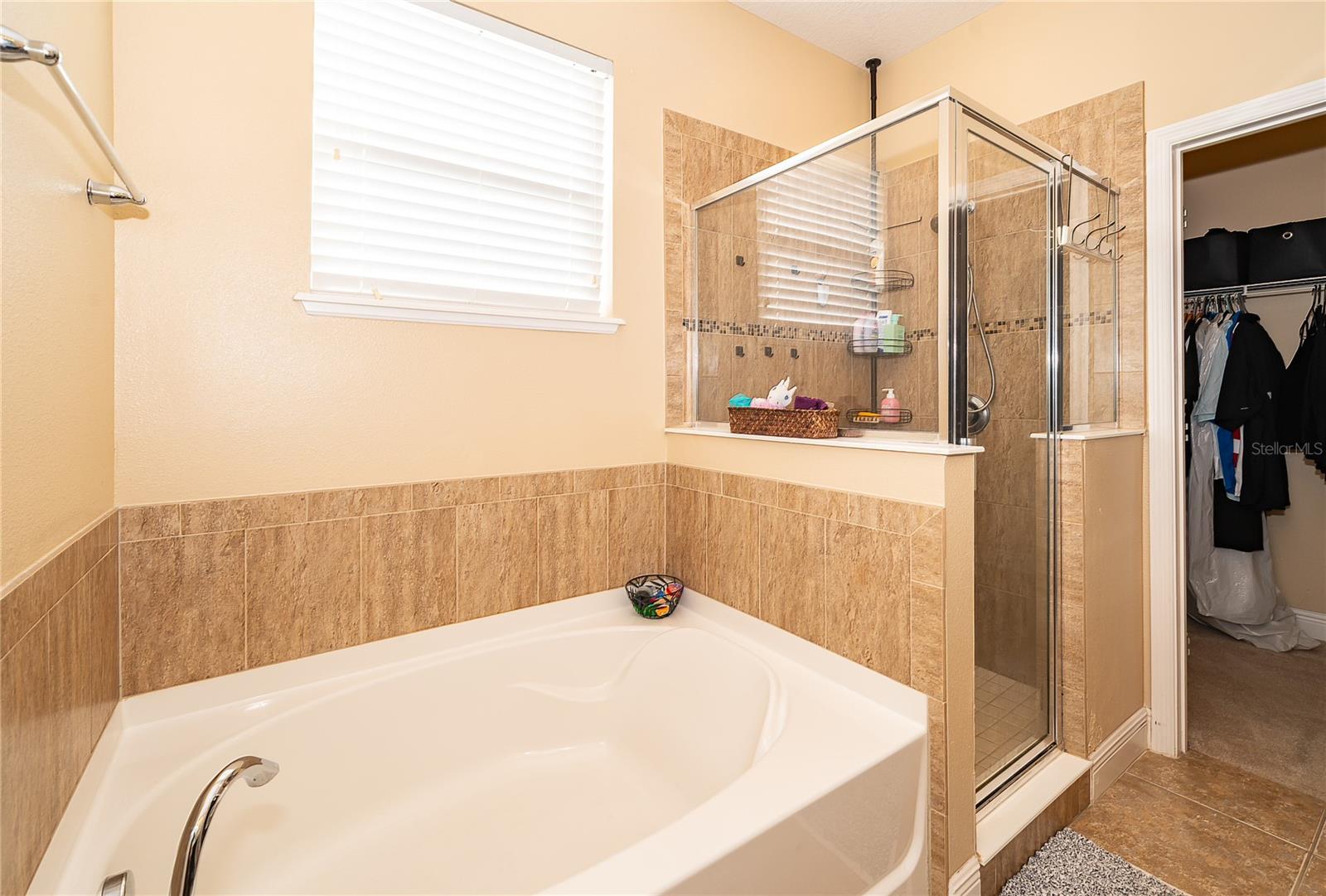 2521 MARSHFIELD PRESERVE WAY, KISSIMMEE, FL, 34746