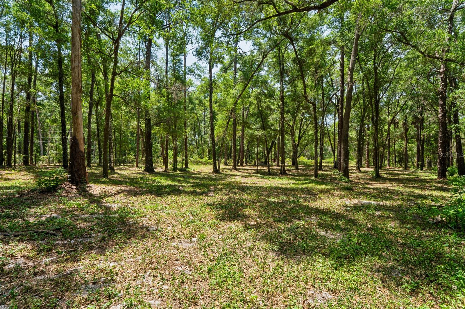 16225 BONZAI TRL, BROOKSVILLE, FL, 34613