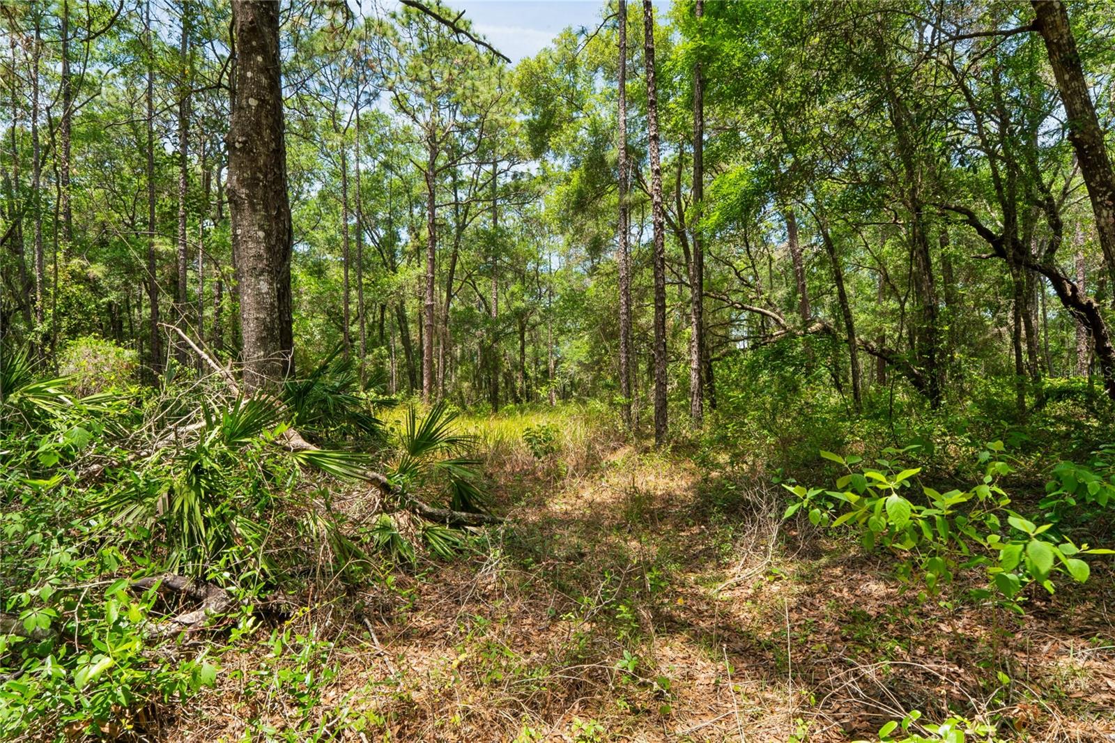 16225 BONZAI TRL, BROOKSVILLE, FL, 34613