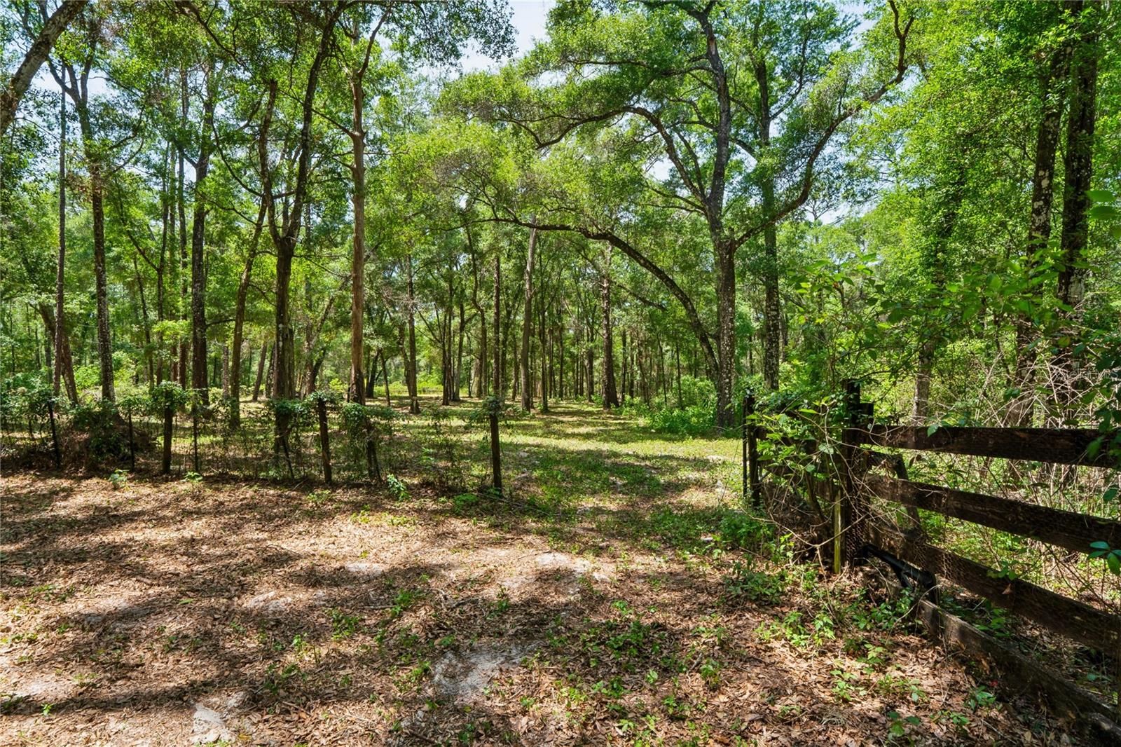 16225 BONZAI TRL, BROOKSVILLE, FL, 34613