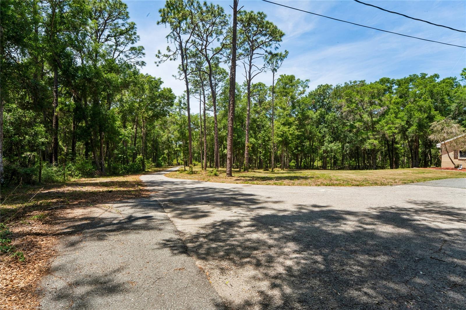 16225 BONZAI TRL, BROOKSVILLE, FL, 34613