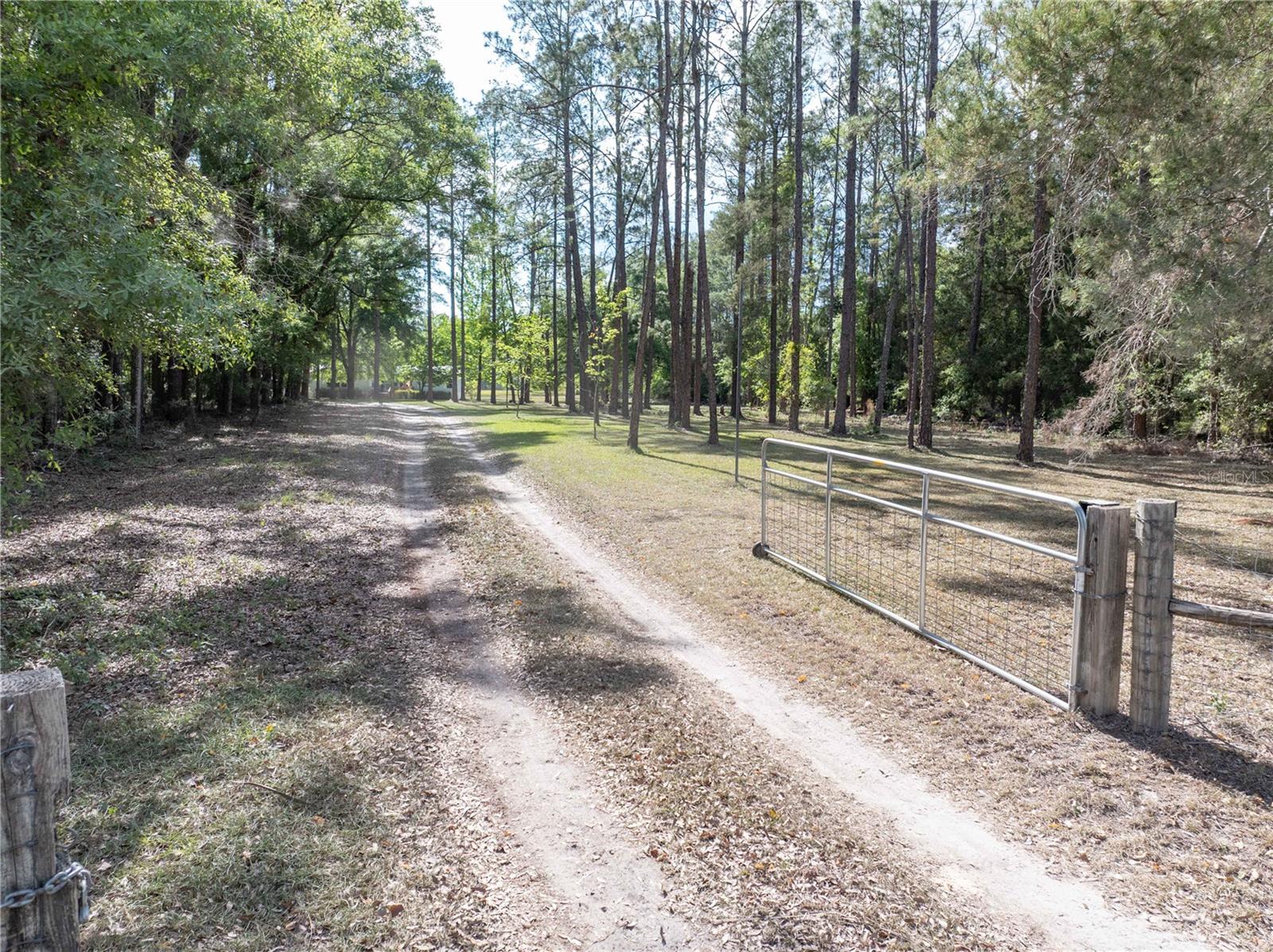 159 SW 70TH AVE, BELL, FL, 32619