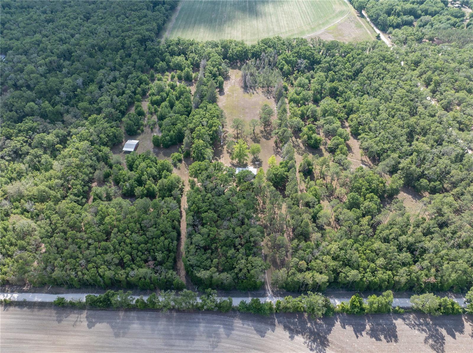 159 SW 70TH AVE, BELL, FL, 32619