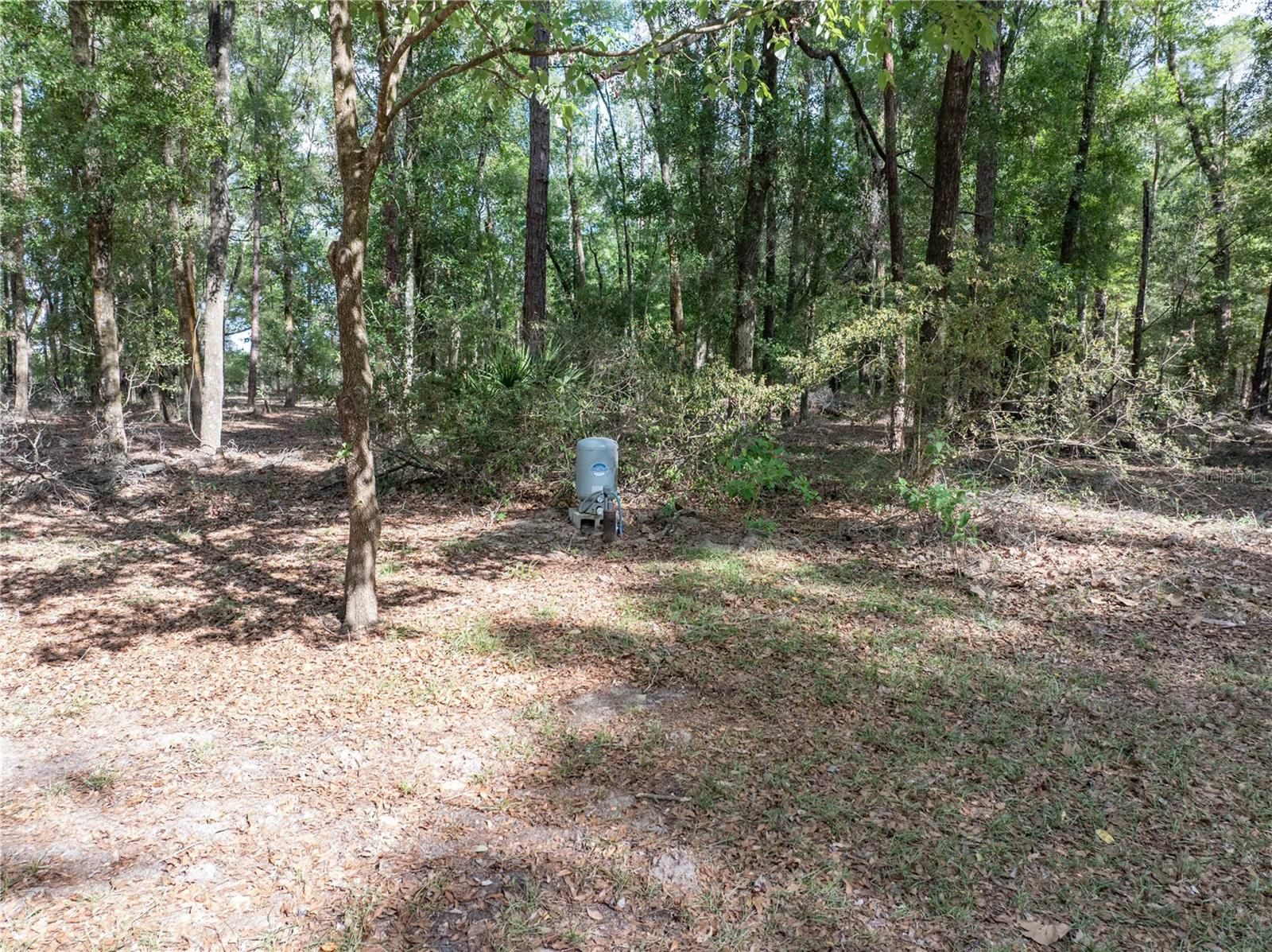 159 SW 70TH AVE, BELL, FL, 32619