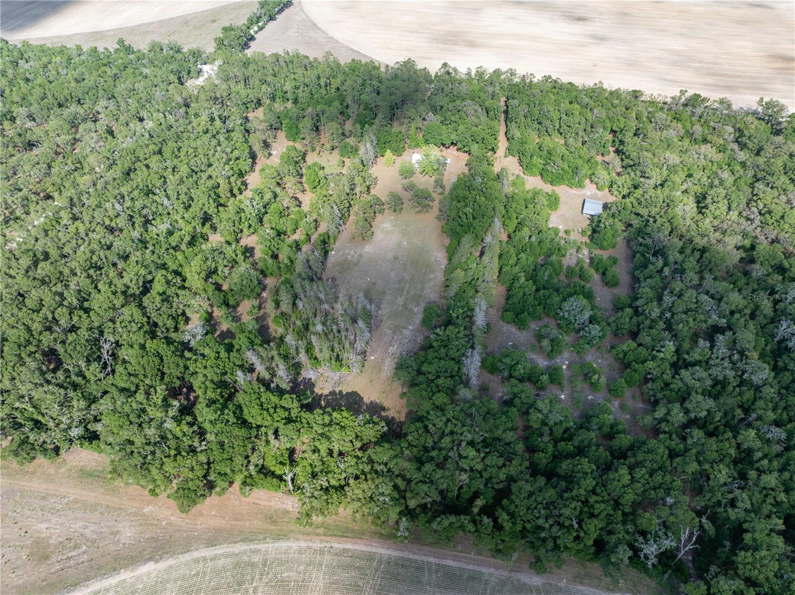 159 SW 70TH AVE, BELL, FL, 32619