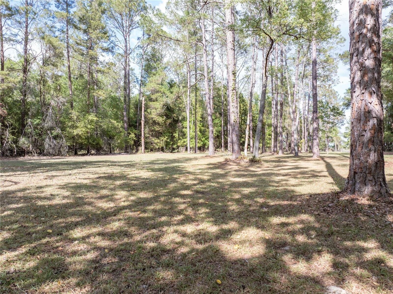 159 SW 70TH AVE, BELL, FL, 32619