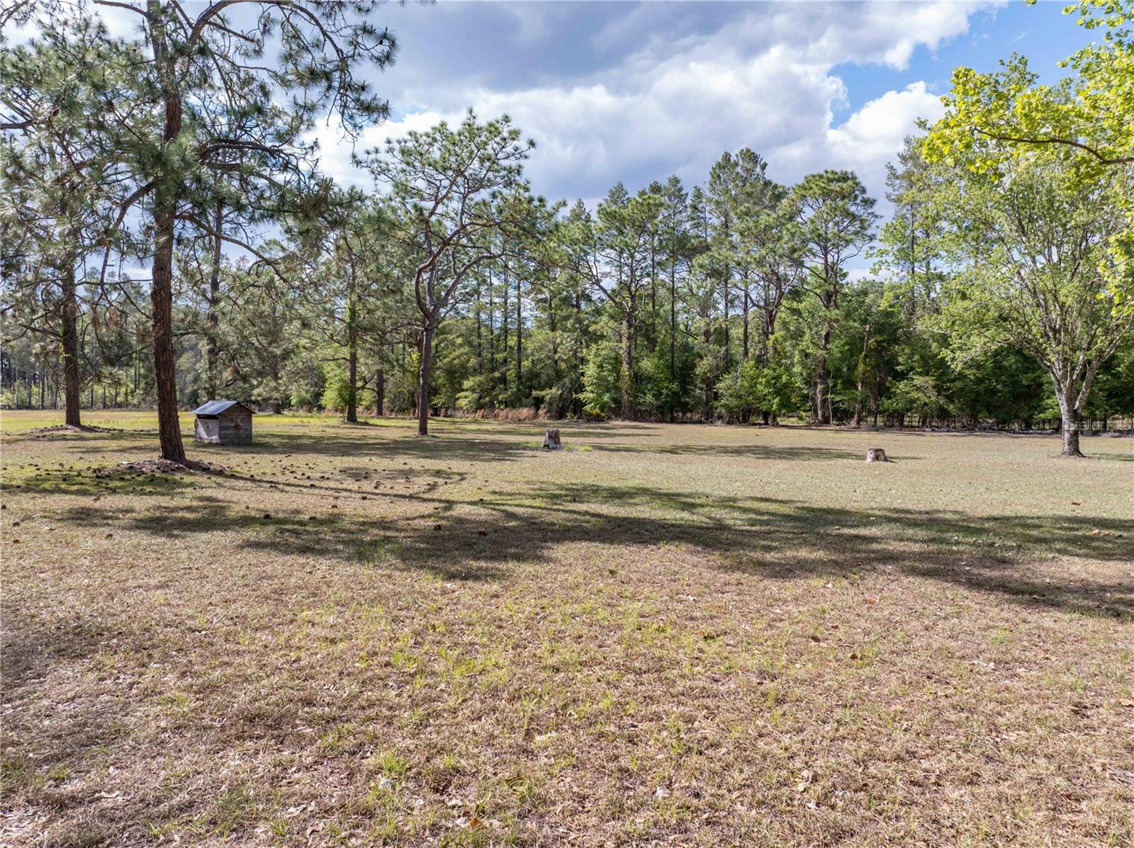 159 SW 70TH AVE, BELL, FL, 32619