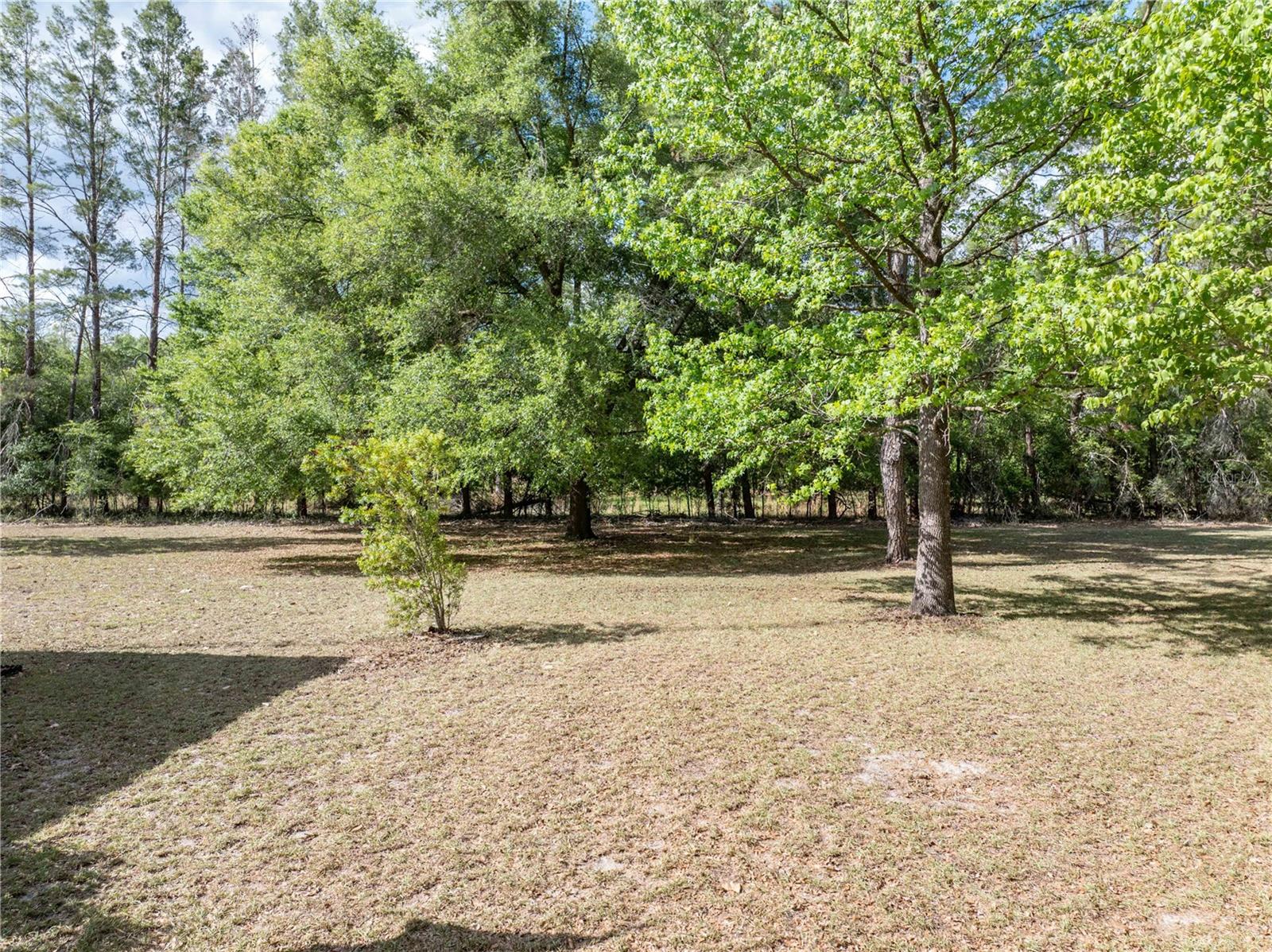 159 SW 70TH AVE, BELL, FL, 32619