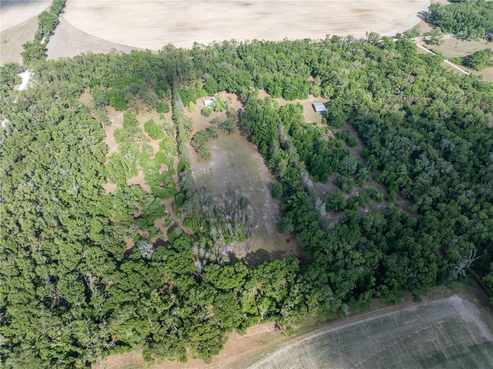 159 SW 70TH AVE, BELL, FL, 32619