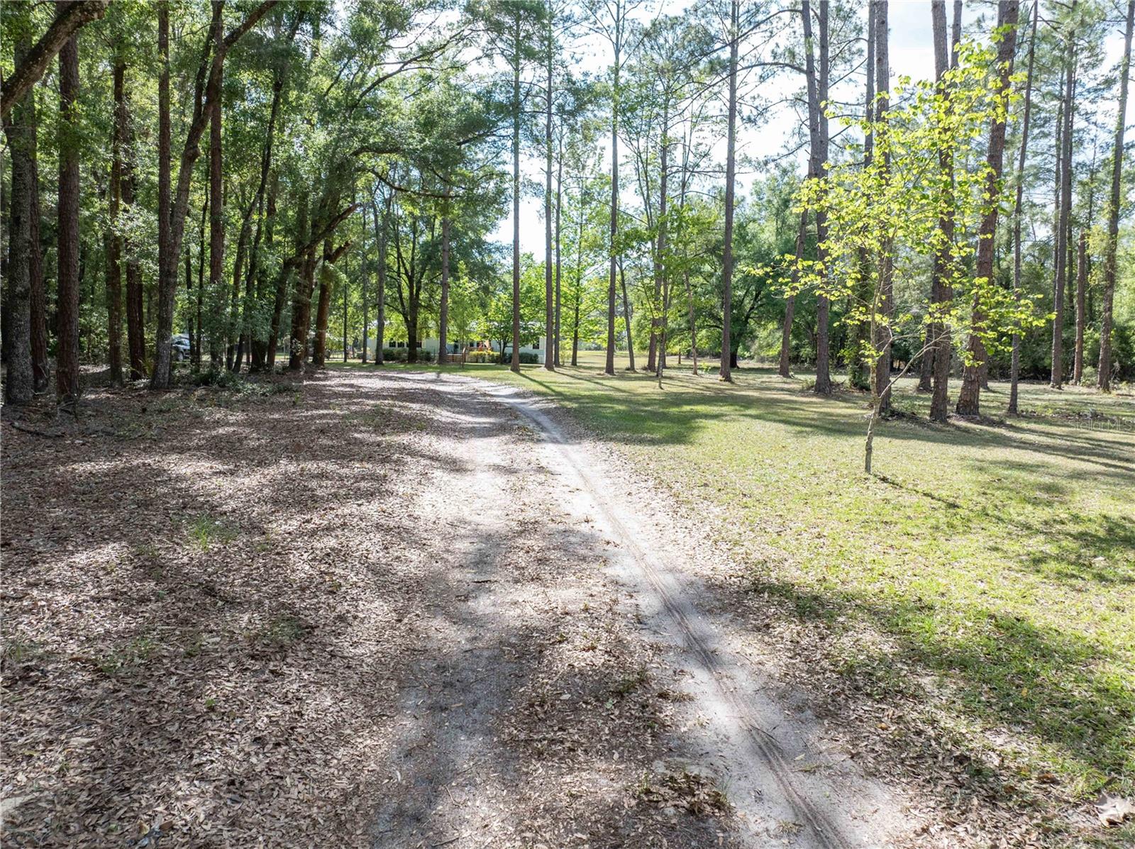 159 SW 70TH AVE, BELL, FL, 32619