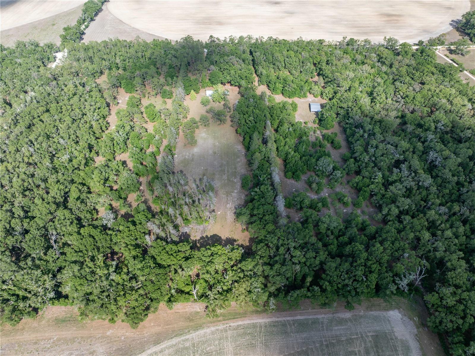 159 SW 70TH AVE, BELL, FL, 32619