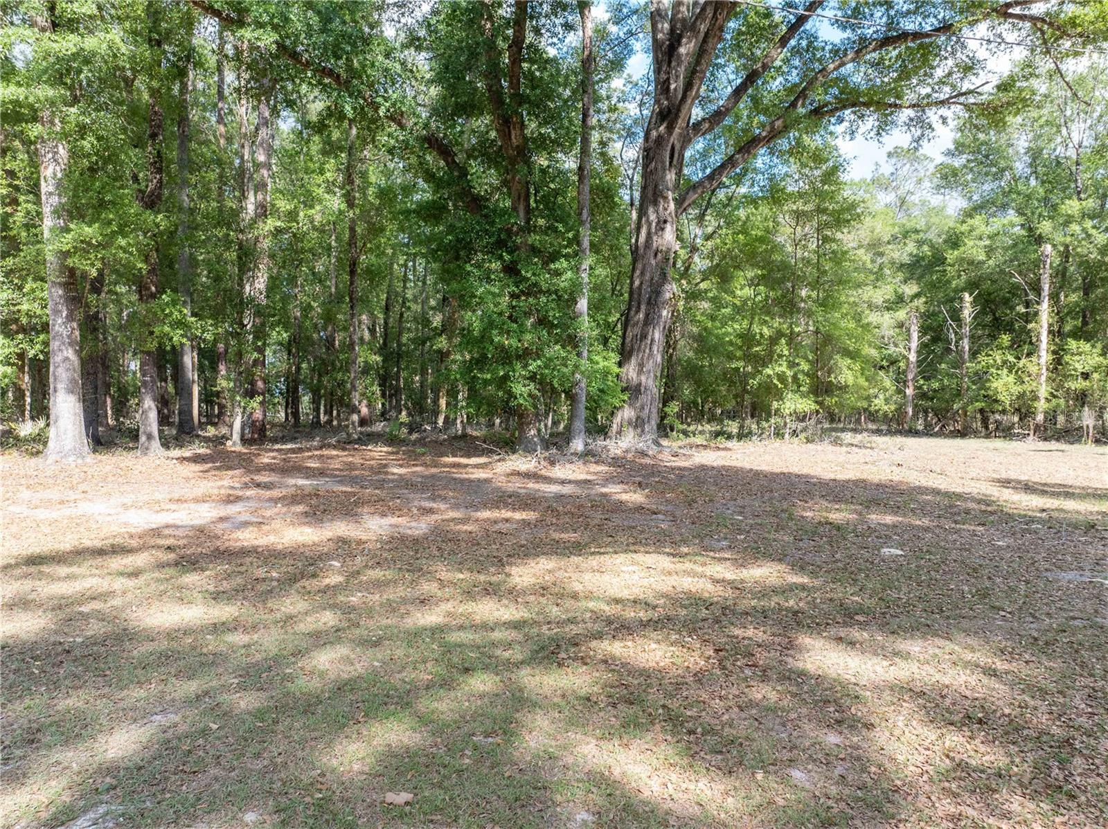 159 SW 70TH AVE, BELL, FL, 32619