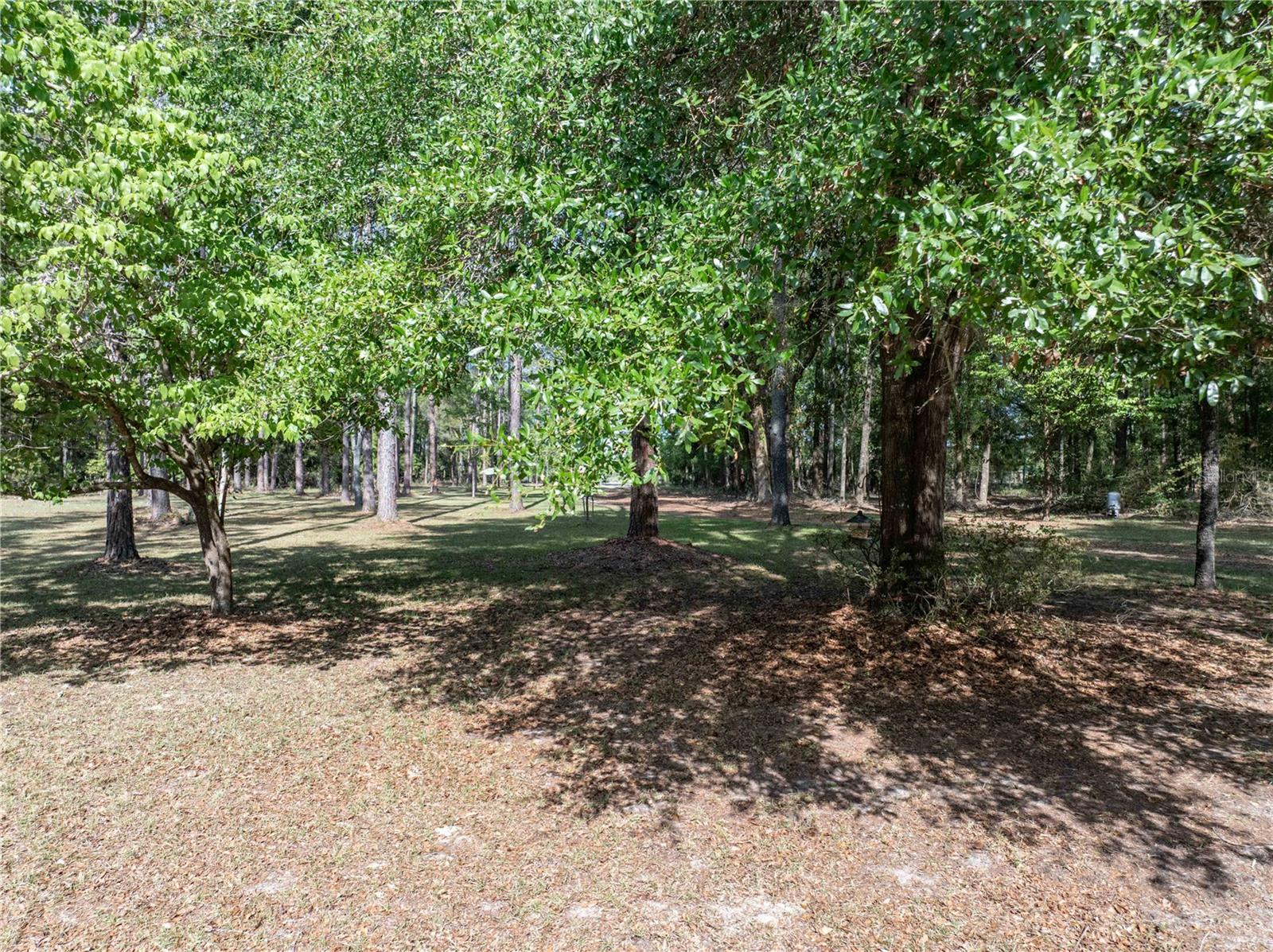 159 SW 70TH AVE, BELL, FL, 32619