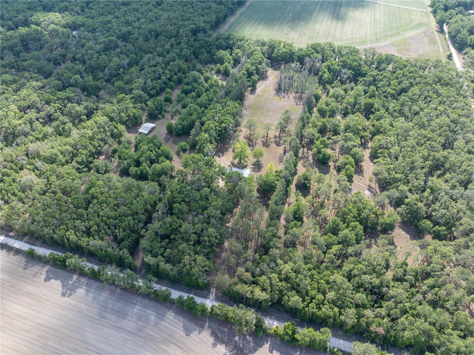 159 SW 70TH AVE, BELL, FL, 32619