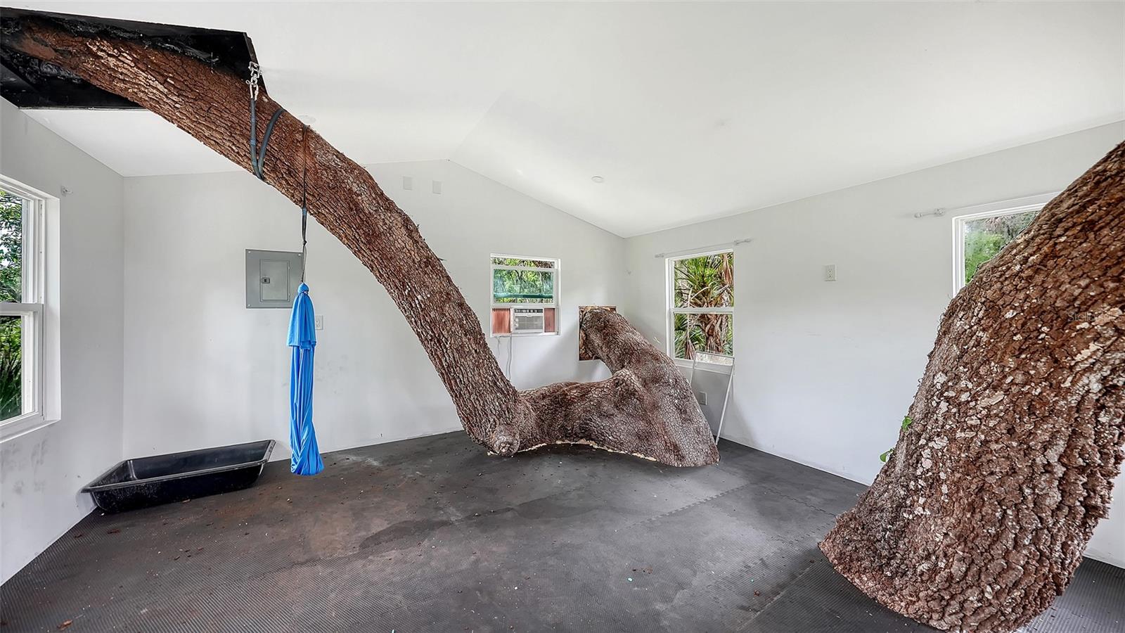 10790 LEAFWING DR, SARASOTA, FL, 34241