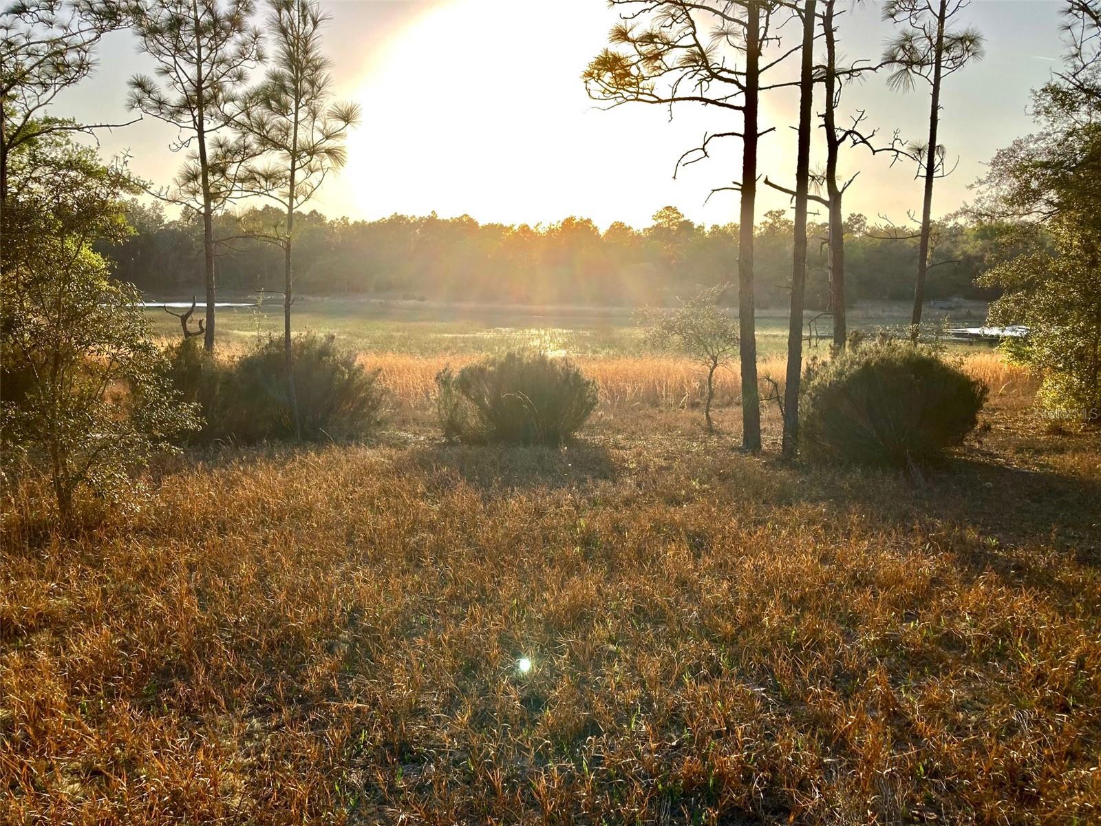 105 SLIPPER WAY, HAWTHORNE, FL, 32640