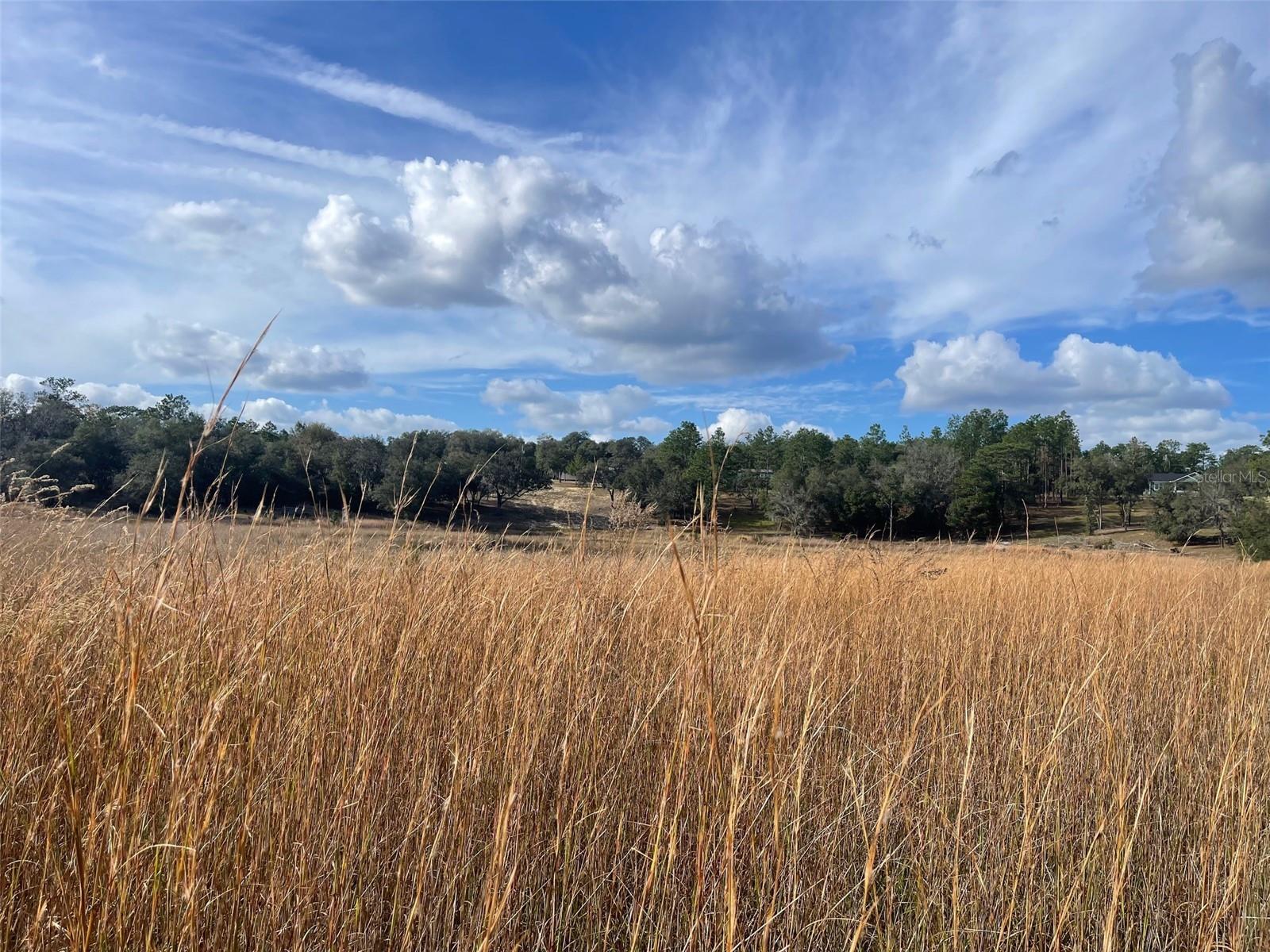 105 SLIPPER WAY, HAWTHORNE, FL, 32640