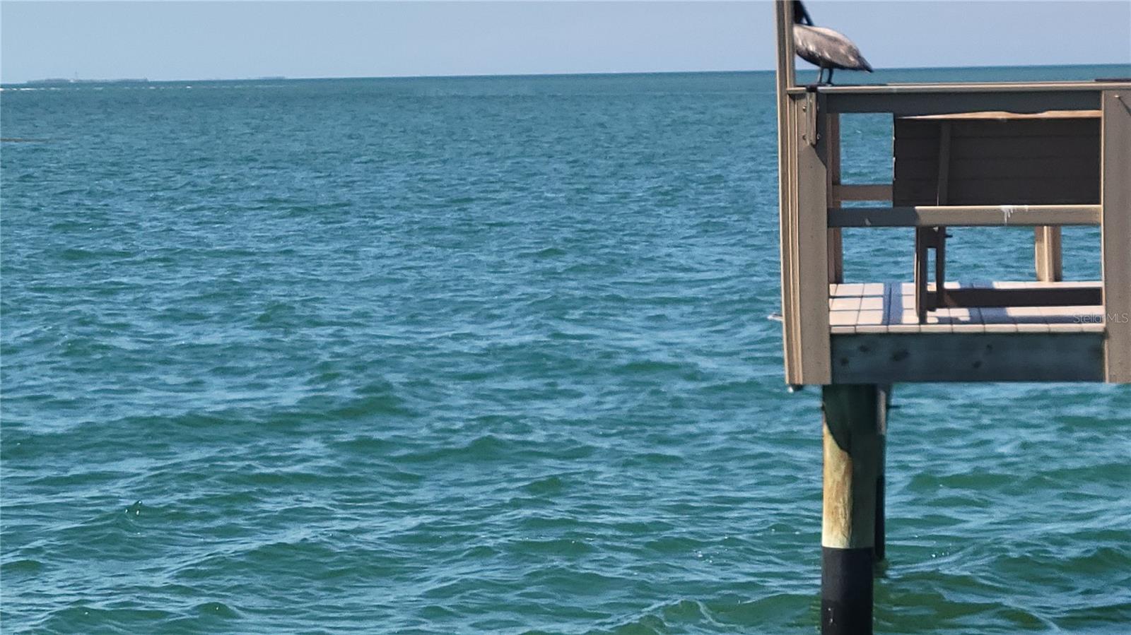 2 CAUSEWAY BLVD #101, DUNEDIN, FL, 34698