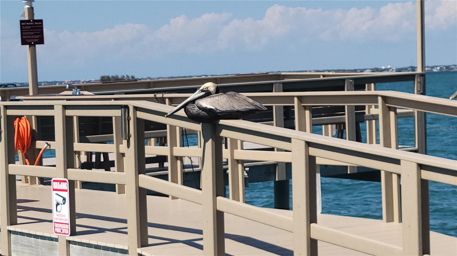 2 CAUSEWAY BLVD #101, DUNEDIN, FL, 34698