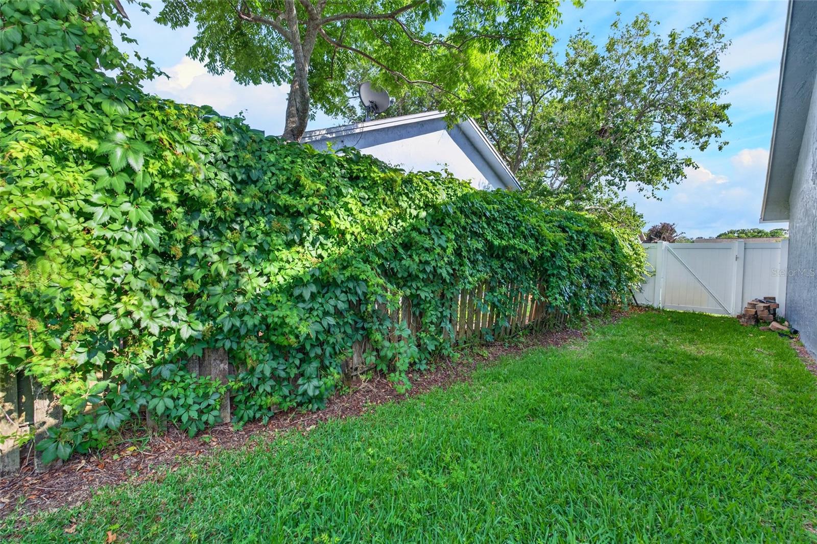 2817 WITLEY AVE, PALM HARBOR, FL, 34685