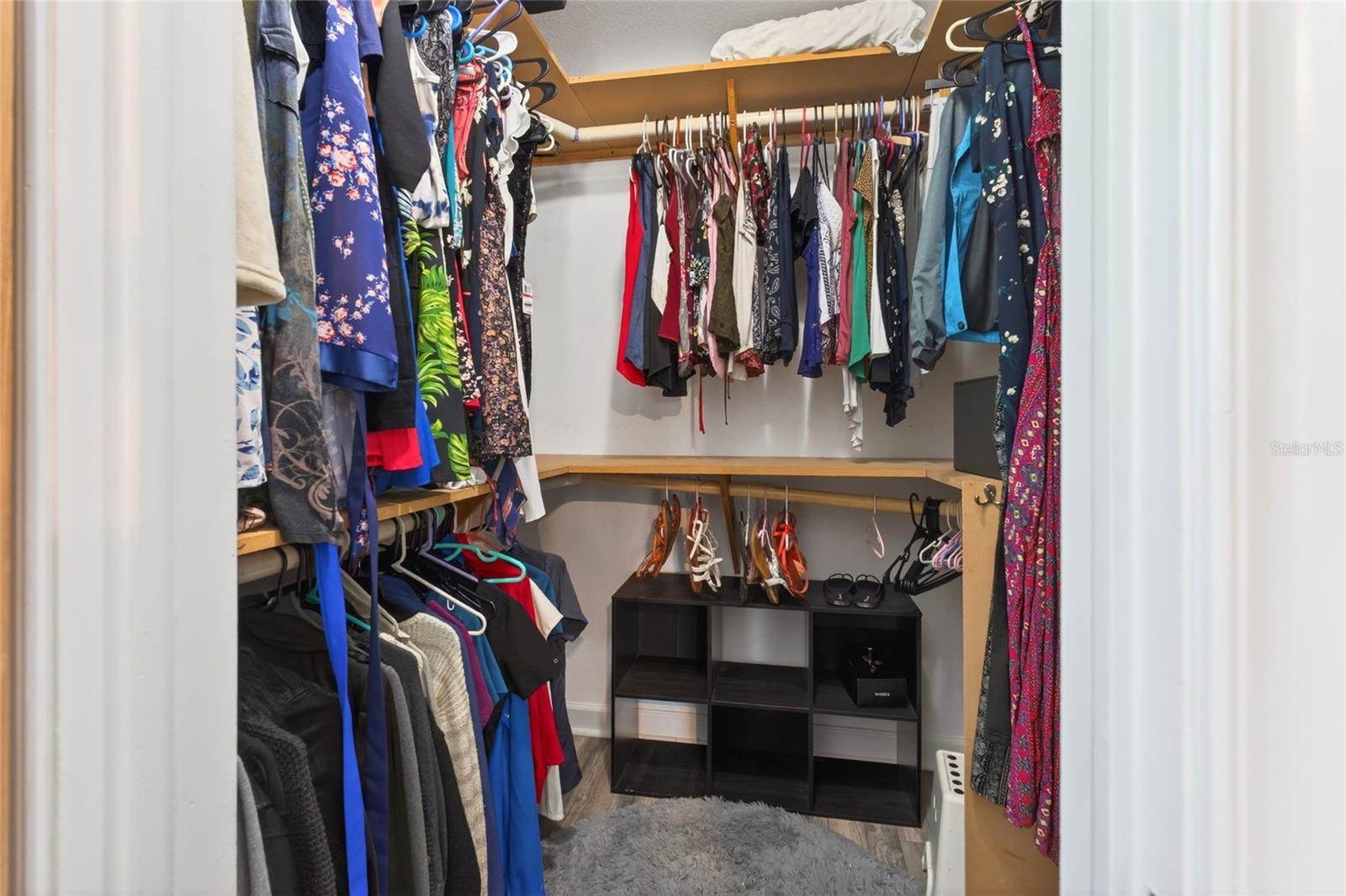 2817 WITLEY AVE, PALM HARBOR, FL, 34685