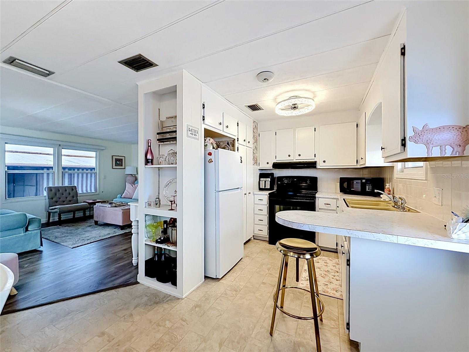 10193 N LAKE DR #95, LARGO, FL, 33773