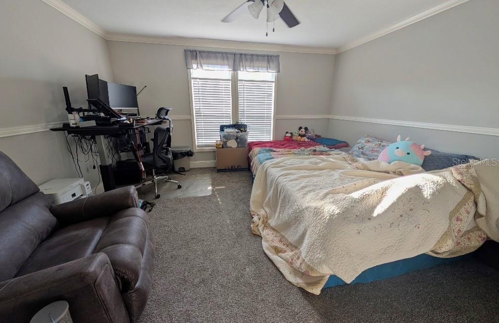 71 SE 146TH TER, WILLISTON, FL, 32696