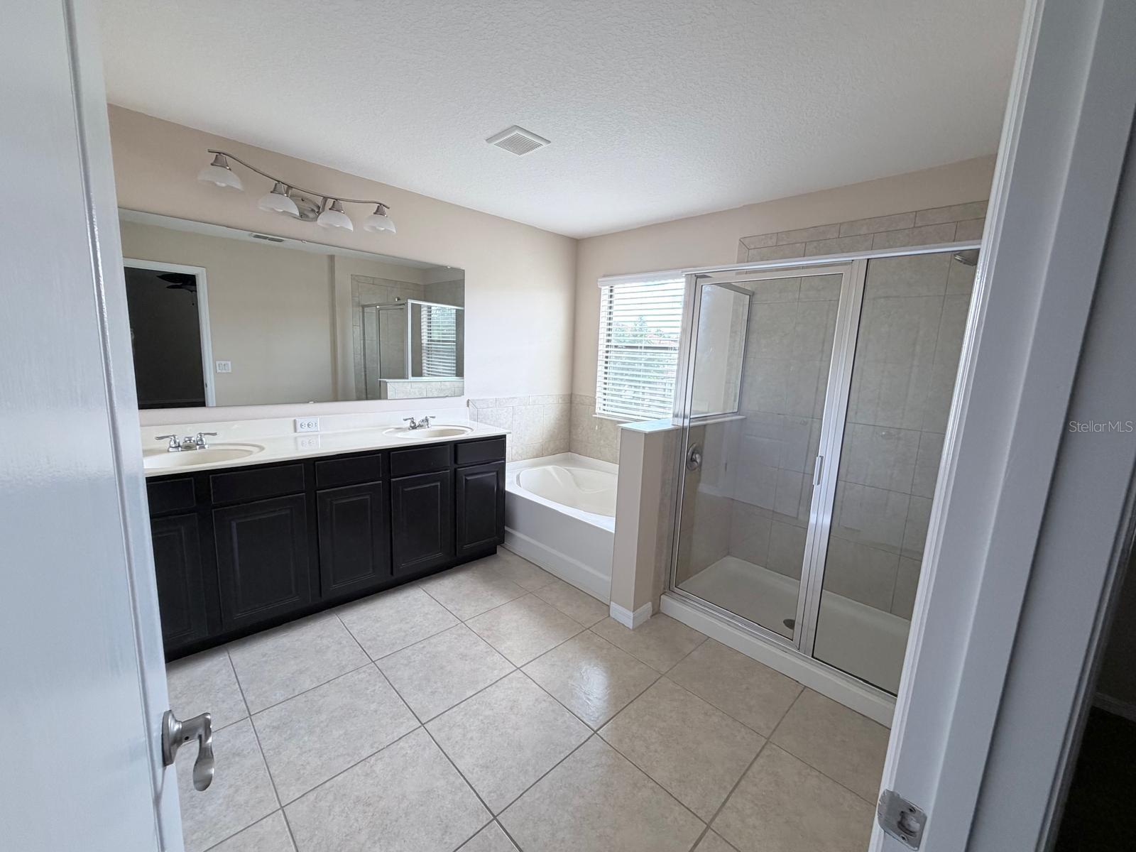 309 HORSEMINT LN, OCOEE, FL, 34761